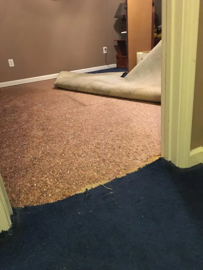 Carpet pad removal revealing water damage during Water Mitigation Services in Elmira