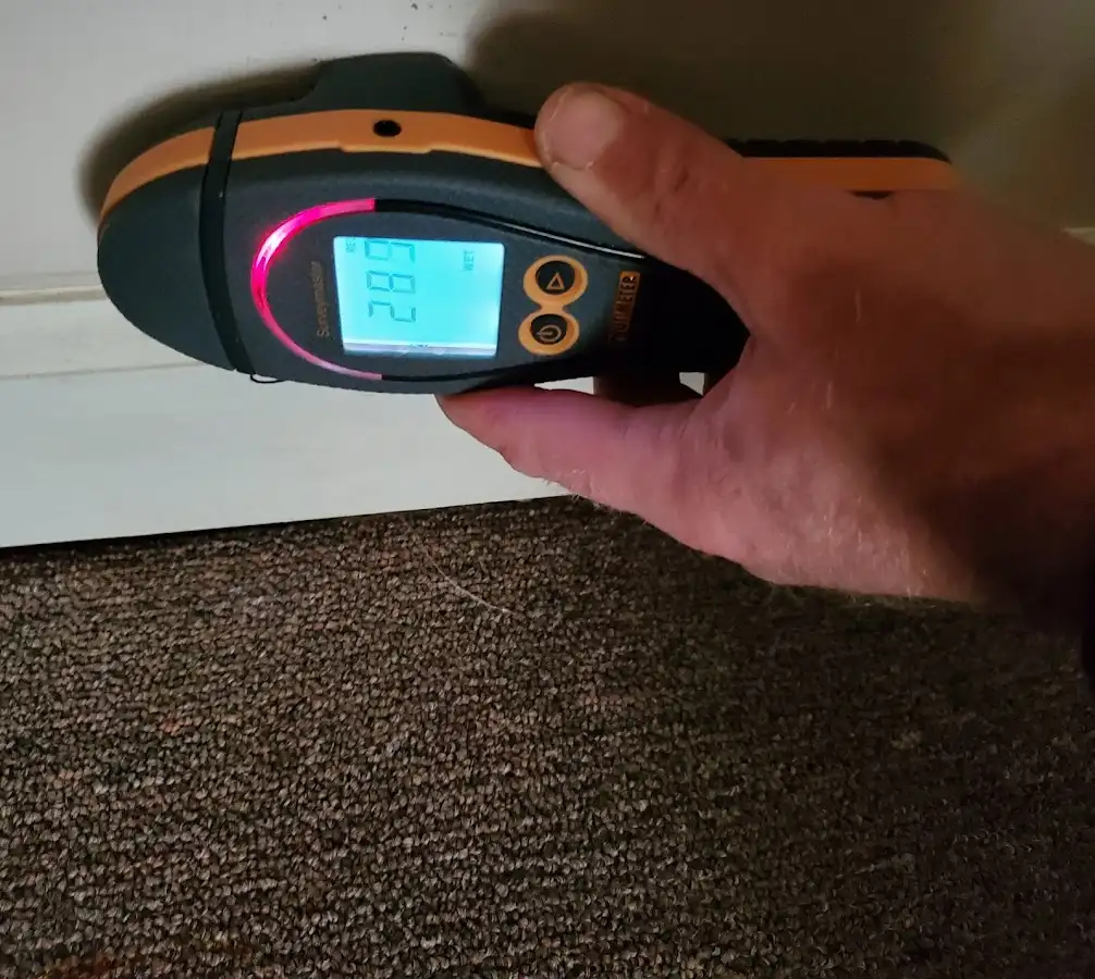 Moisture detection at baseboard during Sewage Cleanup & Sanitation in Elmira